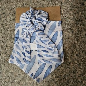 Dog Mom and Dog Clothing